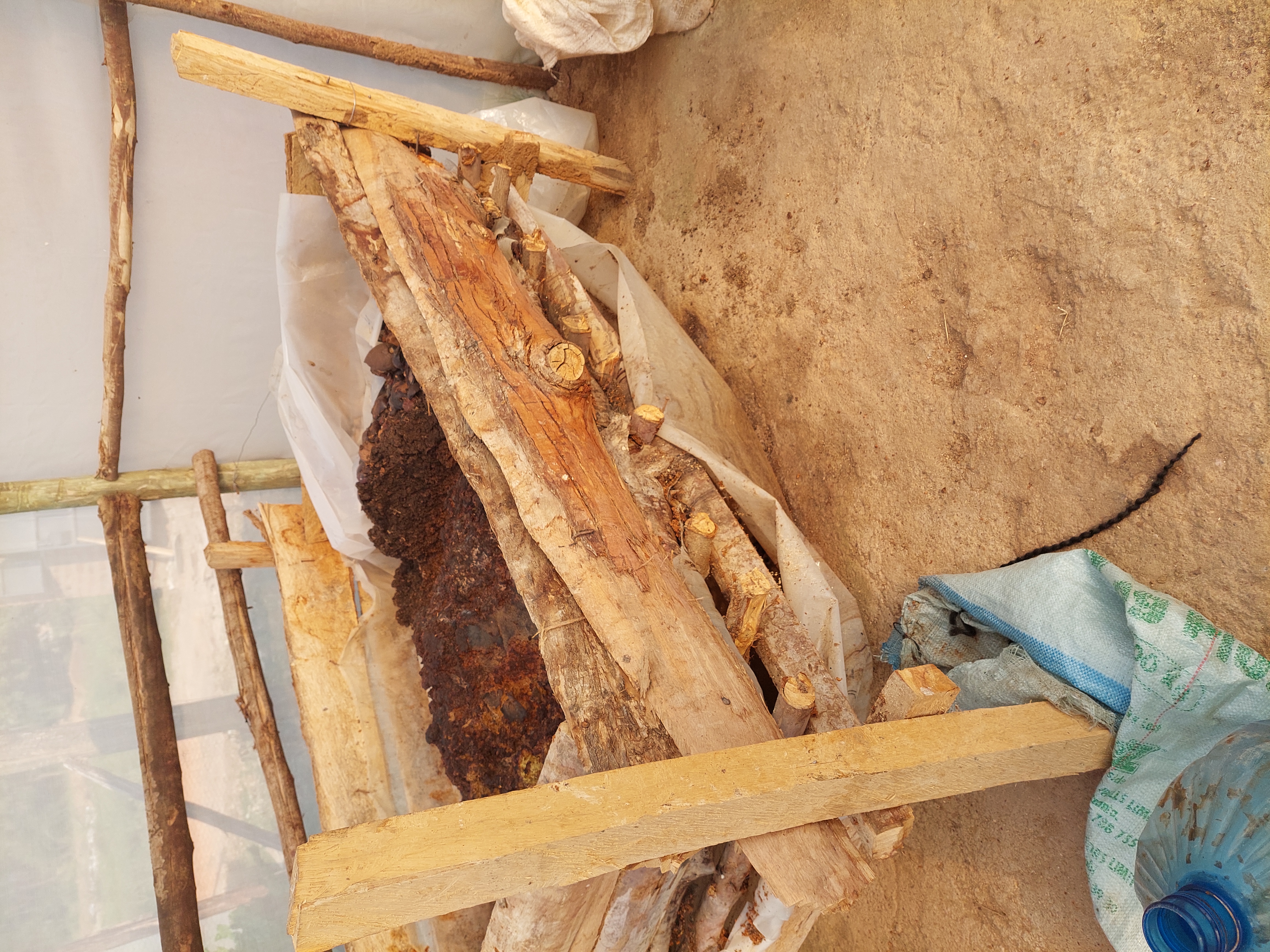 Das Futter für die Larven besteht aus organischen Abfällen aller Art. Etwas amfermentiert hat es die besten Ergebnisse.