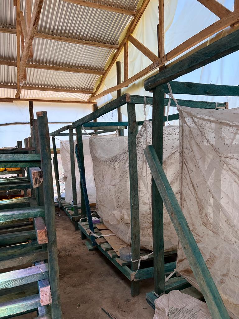 Die Sschwarze Soldatenfliege lässt sich nur im Flug begatten, deshalb stehen hier die "Wedding-Netze".